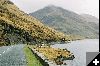 dbpics_gil-2.jpg Ko